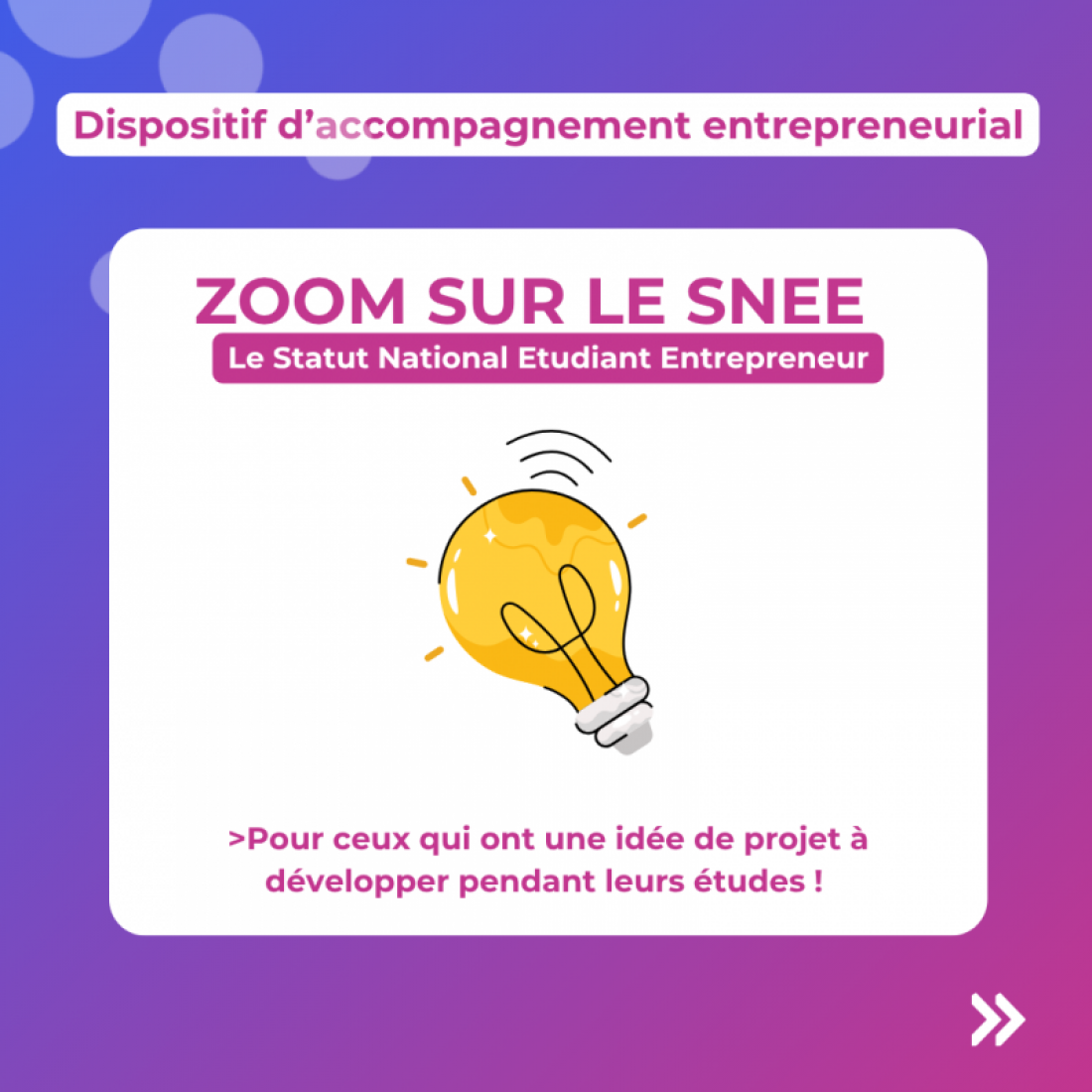 Statut National Etudiant-Entrepreneur (SNEE)