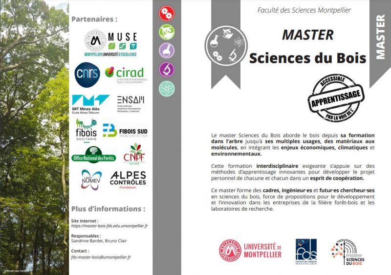 Master Sciences du Bois