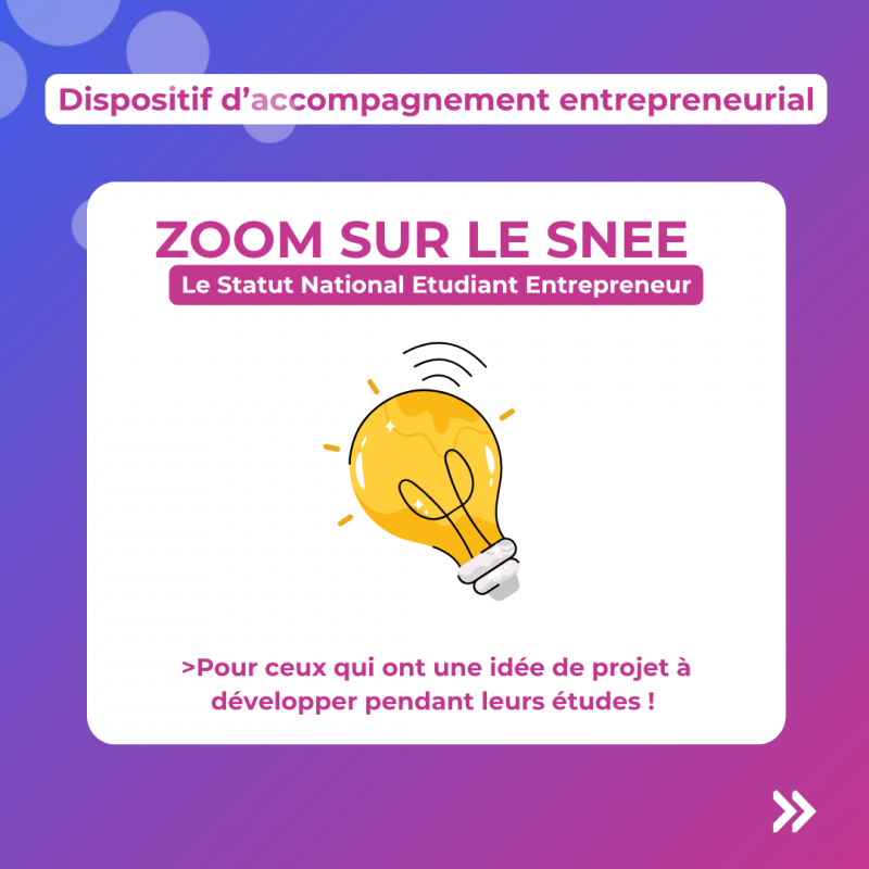 Statut National Etudiant-Entrepreneur (SNEE)